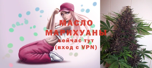хмурый Михайловск