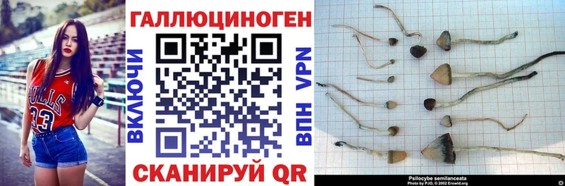 Галлюциногенные грибы Cubensis  Шарья 